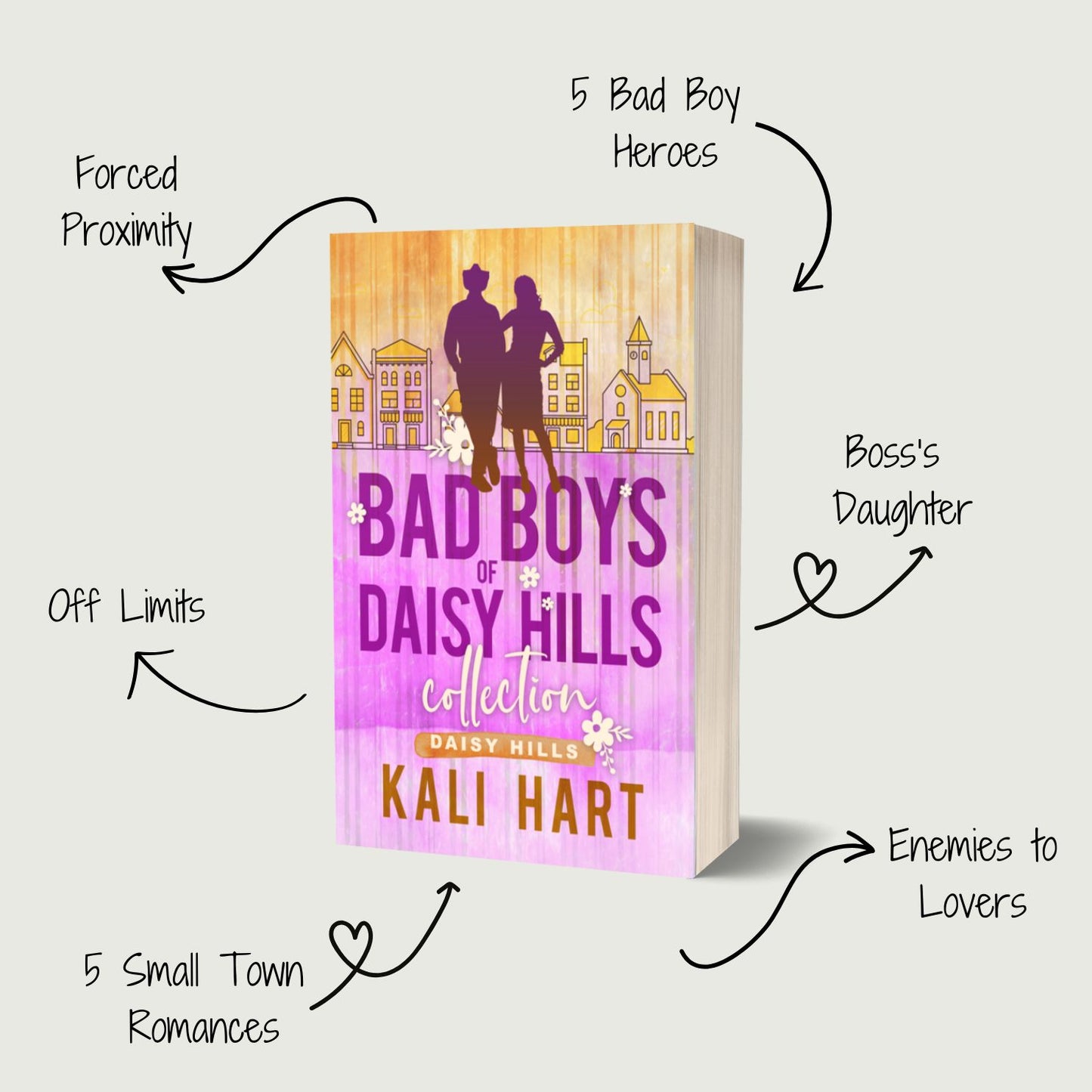 Bad Boys of Daisy Hills Paperback: Special Edition Discreet Cover