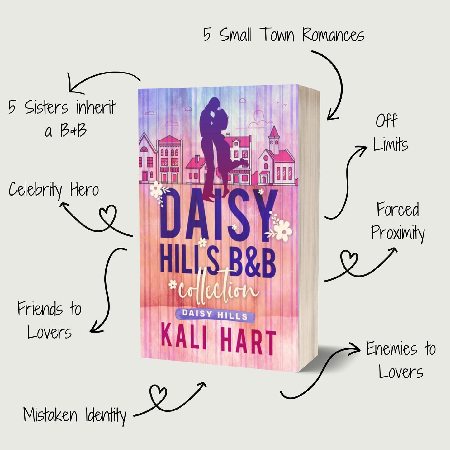 Daisy Hills B&B Paperback: Special Edition Discreet Cover