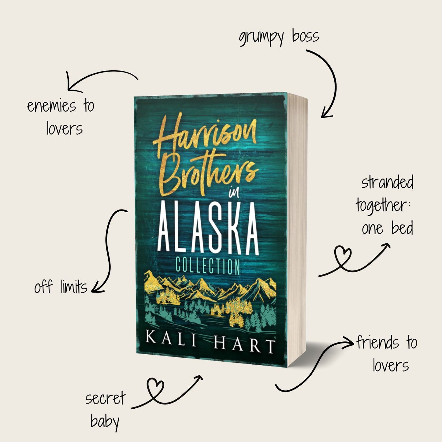 The Harrison Brothers in Alaska Paperback: Special Edition Discreet Cover