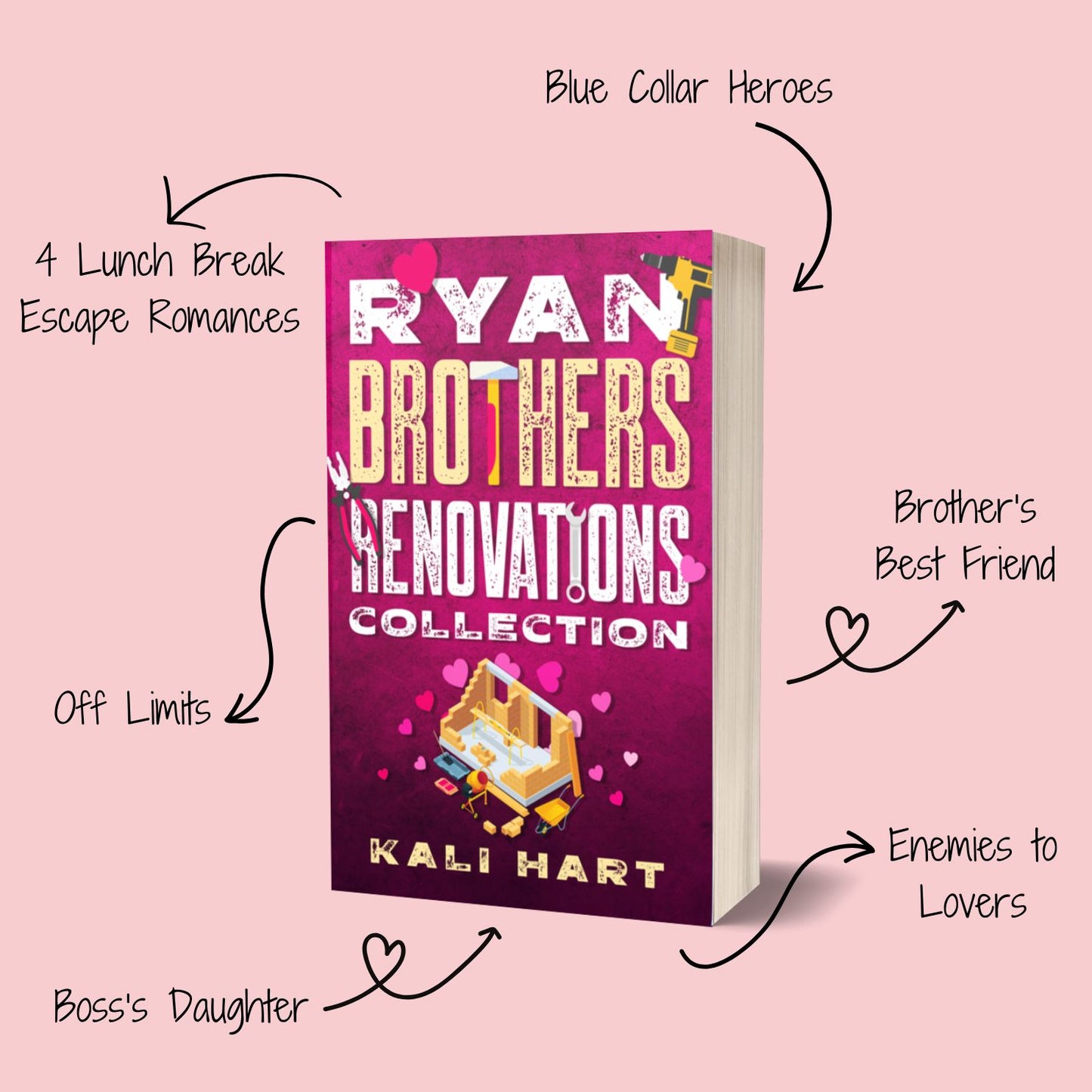 Ryan Brothers Renovations Paperback: Discreet Cover