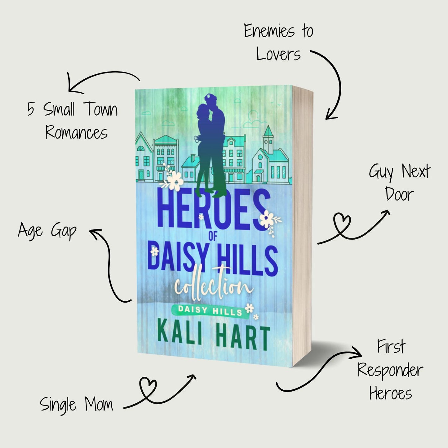 Heroes of Daisy Hills Paperback: Special Edition Discreet Cover