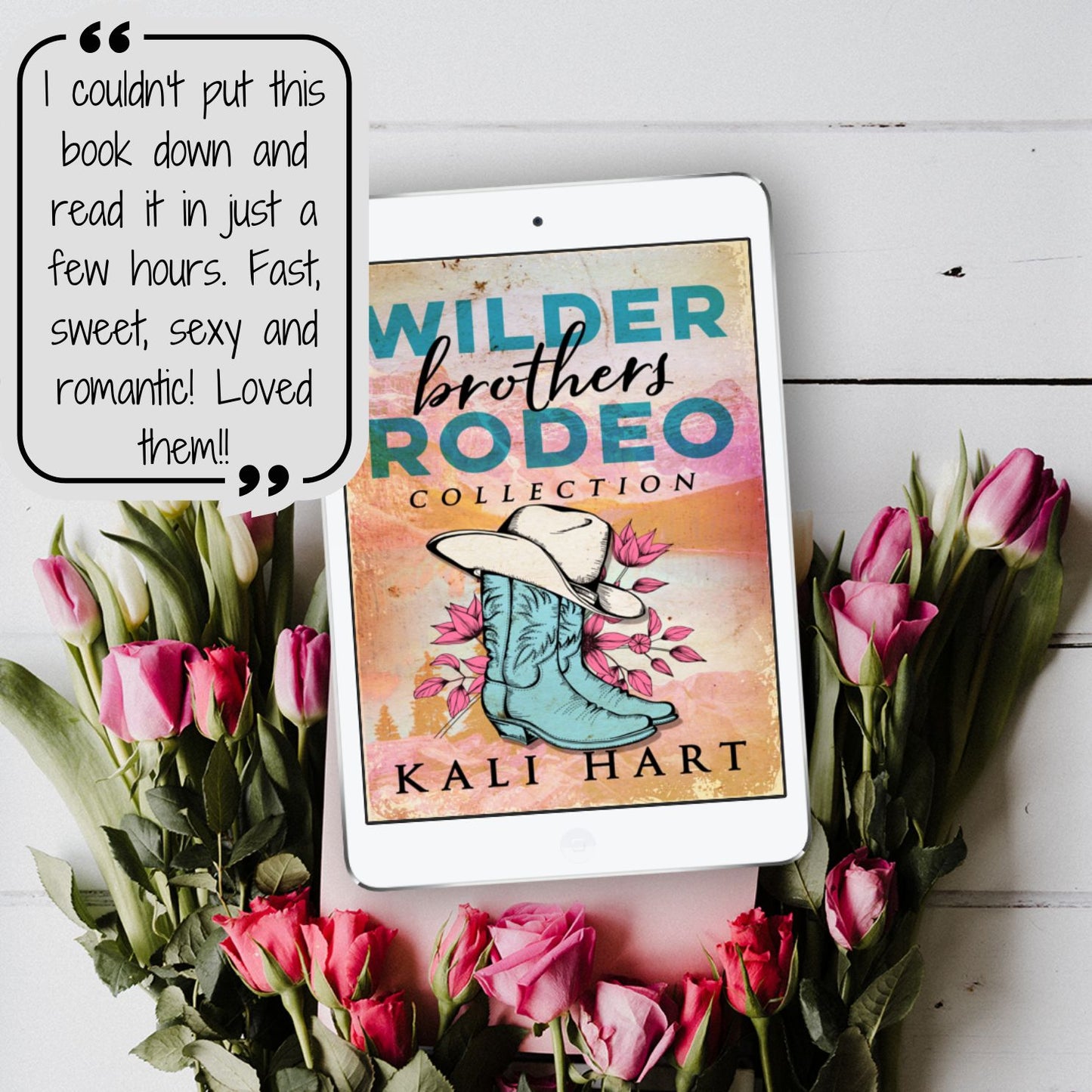 The Wilder Brothers Rodeo Paperback: Discreet Cover