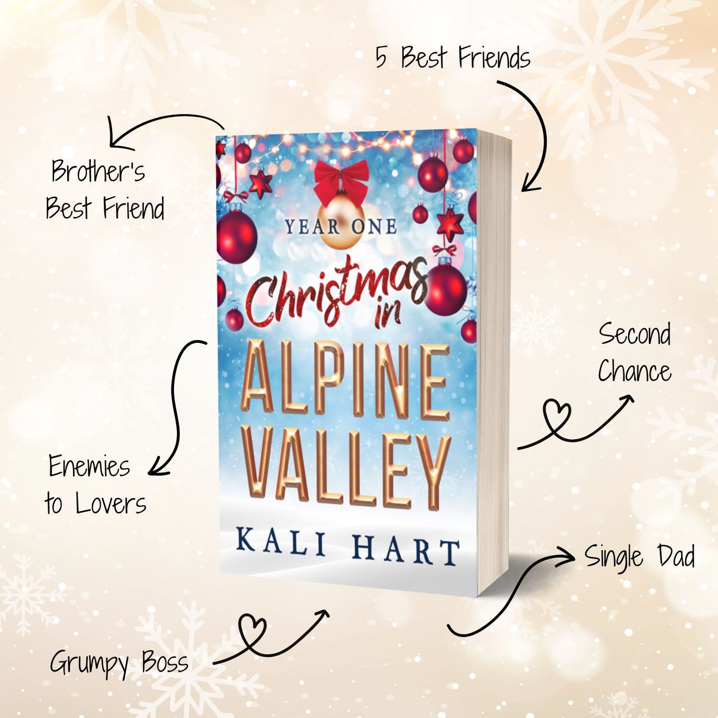 Christmas in Alpine Valley Paperbacks: Special Edition Discreet Covers